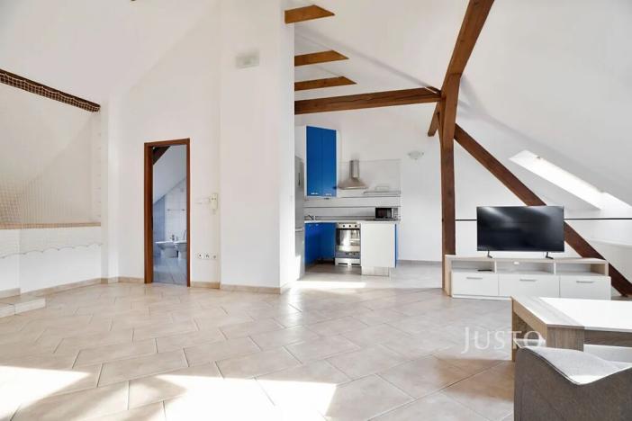 Prodej činžovního domu, Ústí nad Labem, Králova výšina, 300 m2