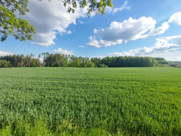 Prodej rodinného domu, Humpolec - Rozkoš, 103 m2