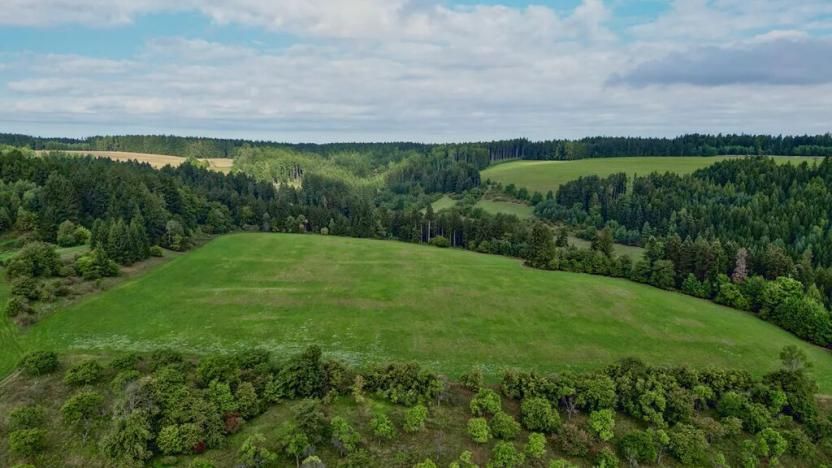 Prodej louky, Radiměř, 209373 m2