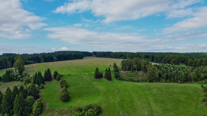 Prodej louky, Radiměř, 209373 m2