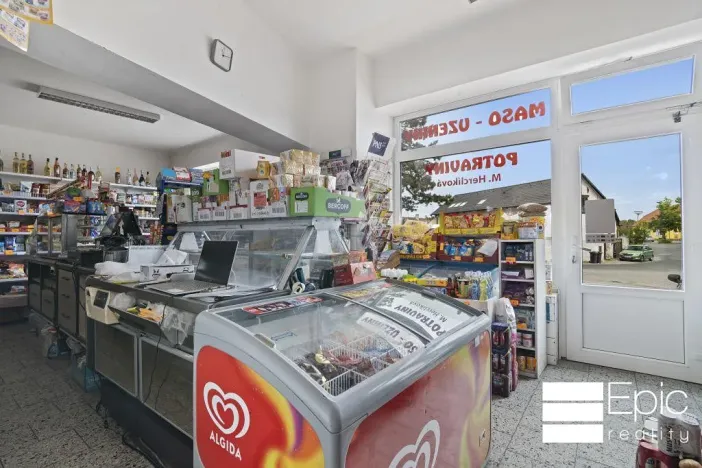 Prodej rodinného domu, Tišice, Okružní, 530 m2