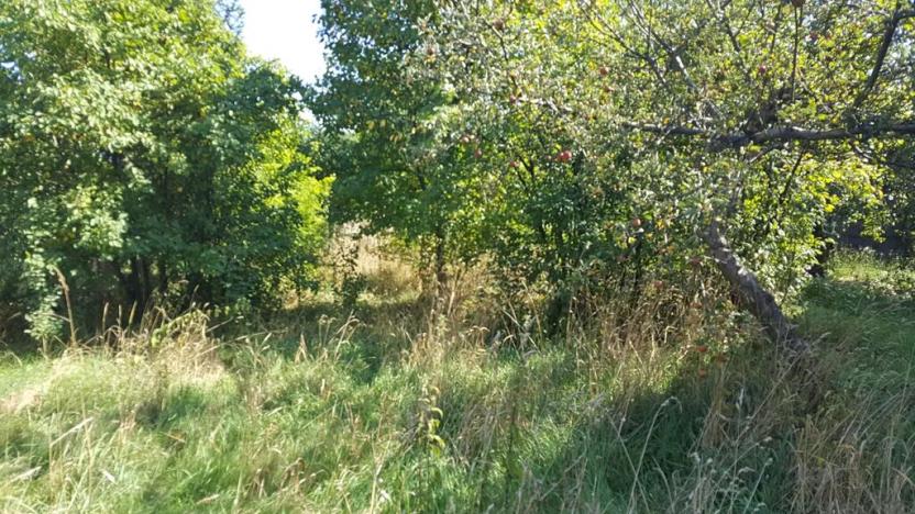 Prodej zahrady, Bechlín, 620 m2