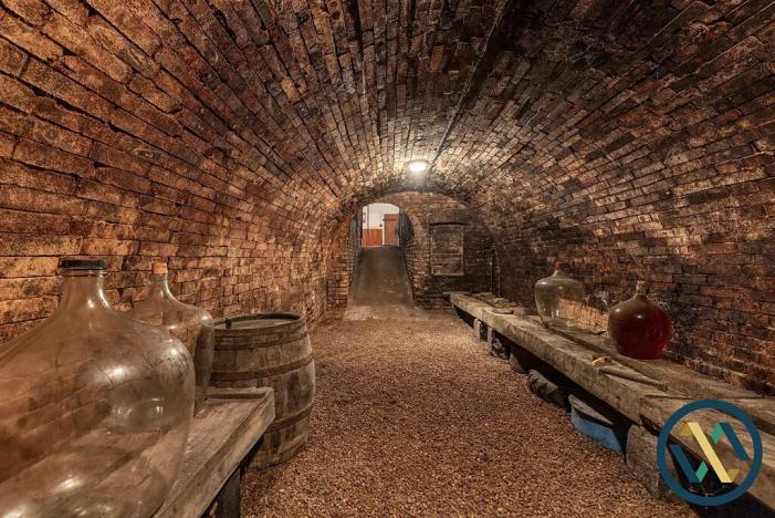 Prodej vinného sklepa, Strachotín, 192 m2