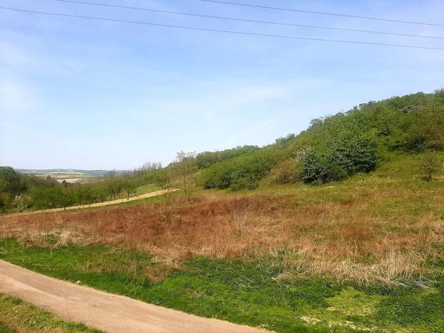 Prodej pozemku pro bydlení, Nenkovice, 811 m2