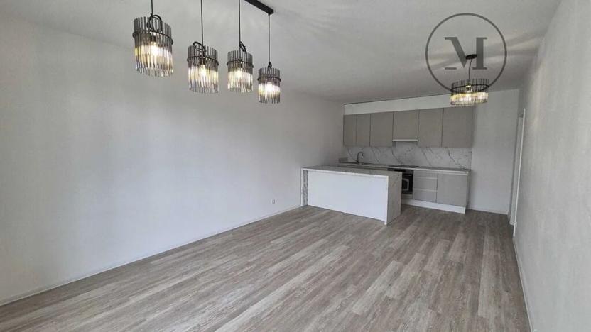 Pronájem bytu 2+kk, České Budějovice, Branišovská, 67 m2
