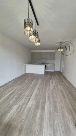 Pronájem bytu 2+kk, České Budějovice, Branišovská, 67 m2