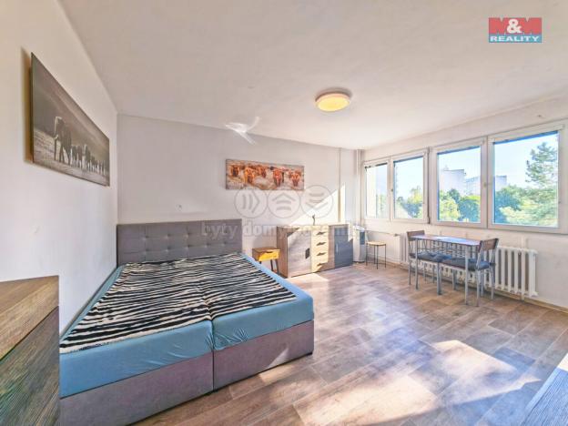 Prodej bytu 1+kk, Hradec Králové - Slezské Předměstí, Severní, 27 m2