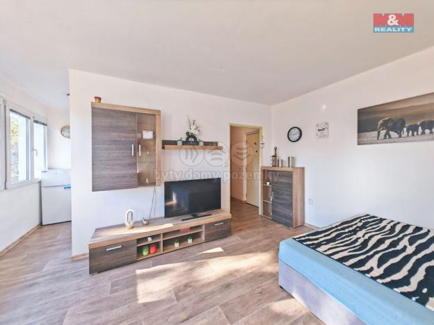 Prodej bytu 1+kk, Hradec Králové - Slezské Předměstí, Severní, 27 m2