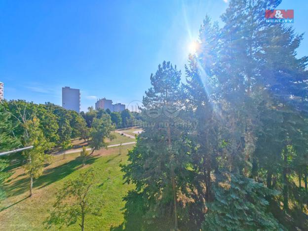 Prodej bytu 1+kk, Hradec Králové - Slezské Předměstí, Severní, 27 m2