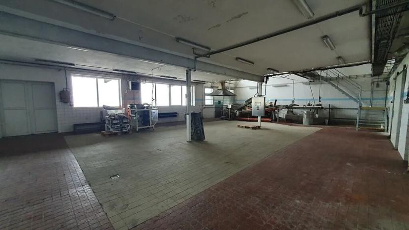 Dražba výrobních prostor, Nížkov, 7316 m2