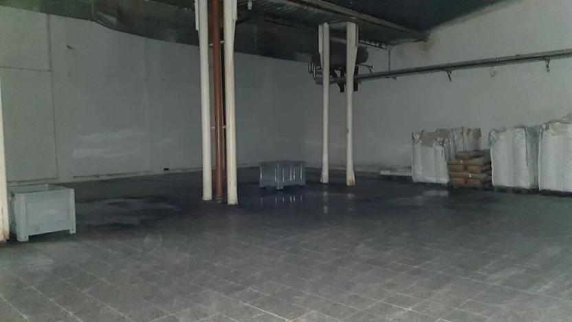 Dražba výrobních prostor, Nížkov, 7316 m2