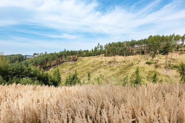 Prodej rodinného domu, Bílkovice, 208 m2