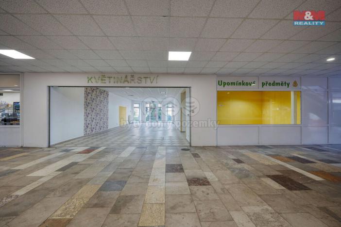 Pronájem obchodního prostoru, Třemošná, Plzeňská, 133 m2