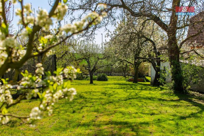 Prodej rodinného domu, Chlumčany, Svatopluka Čecha, 250 m2