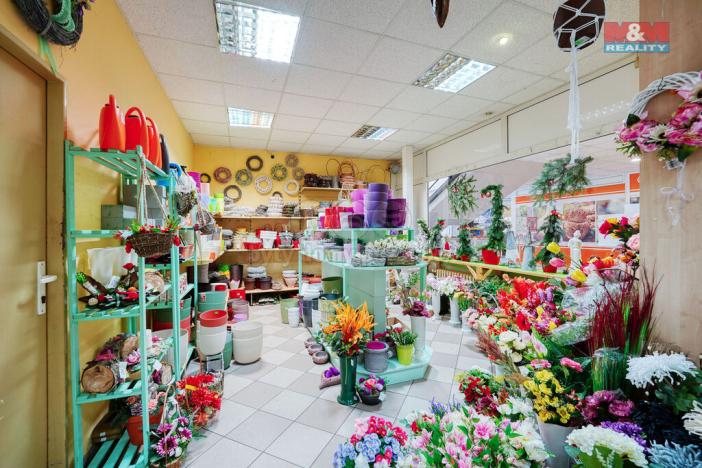 Pronájem obchodního prostoru, Třemošná, Plzeňská, 133 m2