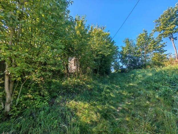 Prodej pozemku pro bydlení, Markvartice, 5151 m2