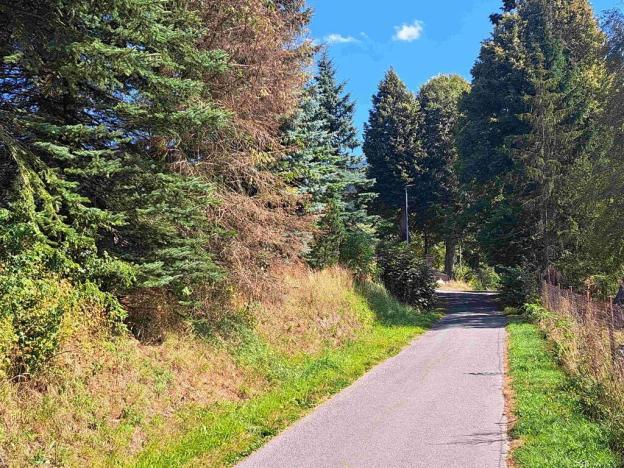 Prodej pozemku pro bydlení, Loučná nad Desnou, 1123 m2