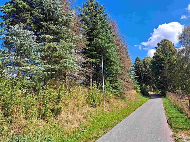 Prodej pozemku pro bydlení, Loučná nad Desnou, 1123 m2