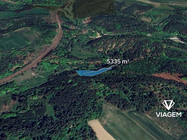 Prodej podílu lesa, Kuřimská Nová Ves, 1778 m2