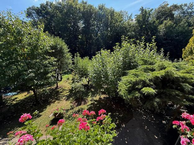 Prodej chaty, Hrob, 25 m2