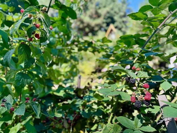 Prodej chaty, Hrob, 25 m2