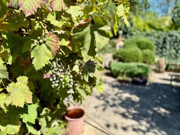 Prodej chaty, Hrob, 25 m2