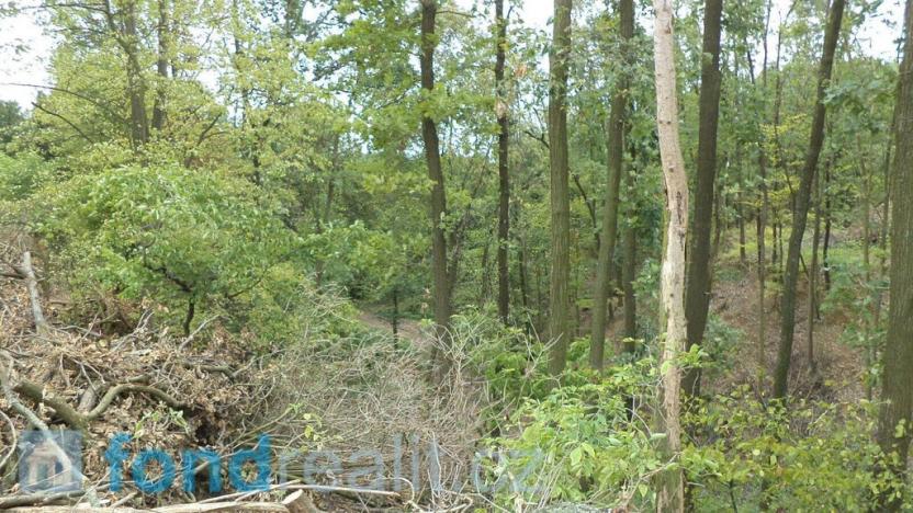 Prodej pozemku, Traplice, 19641 m2