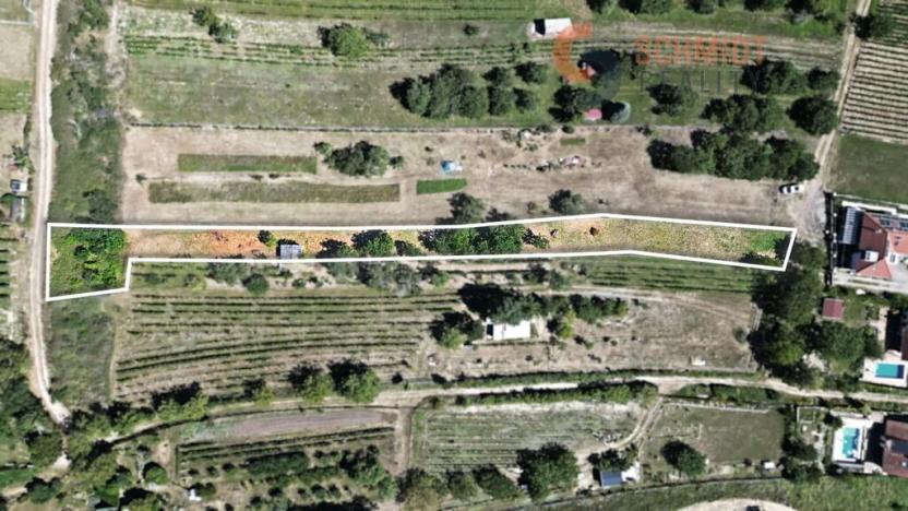 Prodej sadu/vinice, Mikulov, M. Majerové, 1610 m2