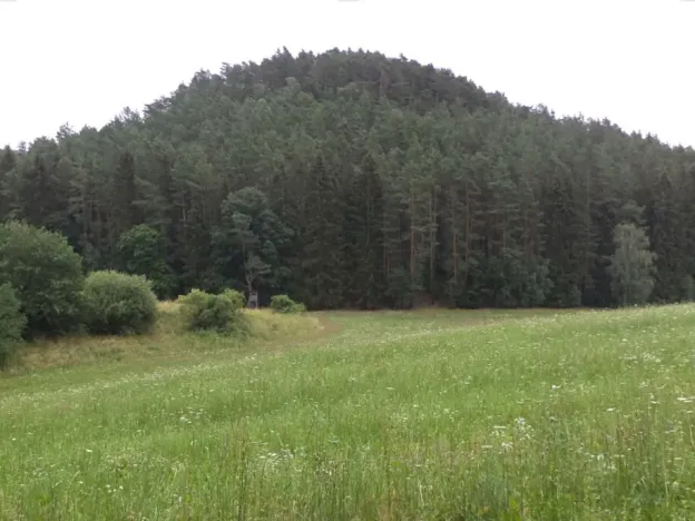 Dražba pole, Tuhaň, 19964 m2