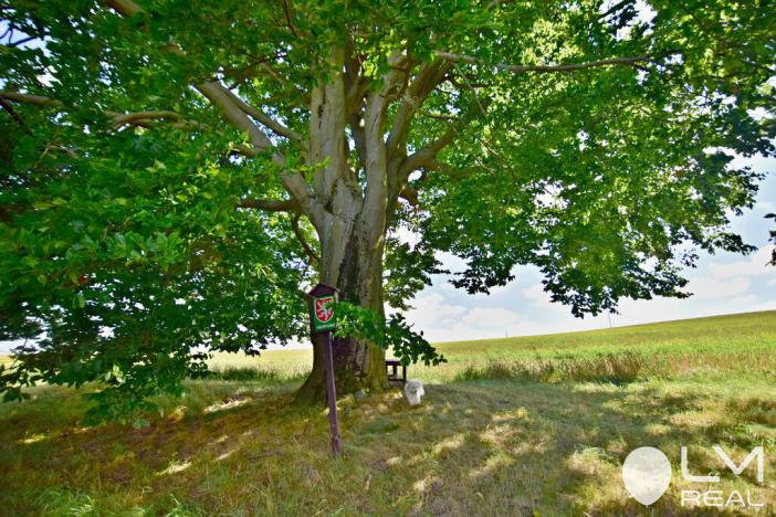 Prodej rodinného domu, Sázava, 210 m2