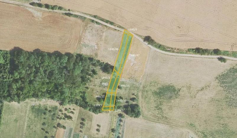 Prodej pole, Třtice, 8121 m2