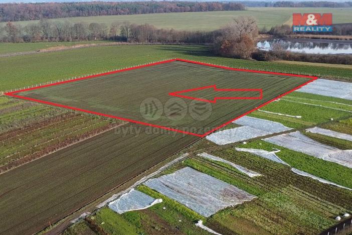 Prodej zahrady, Nové Dvory, 9979 m2