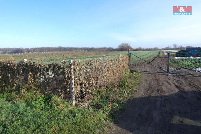 Prodej zahrady, Nové Dvory, 9979 m2