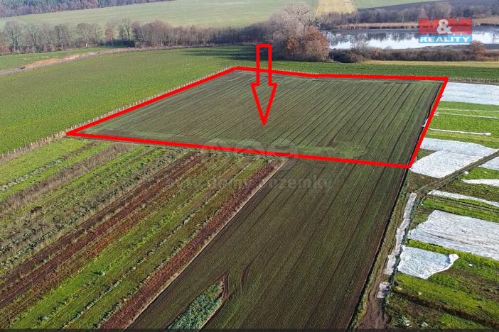 Prodej zahrady, Nové Dvory, 9979 m2