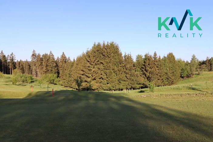 Prodej lesa, Kolová, 8922 m2