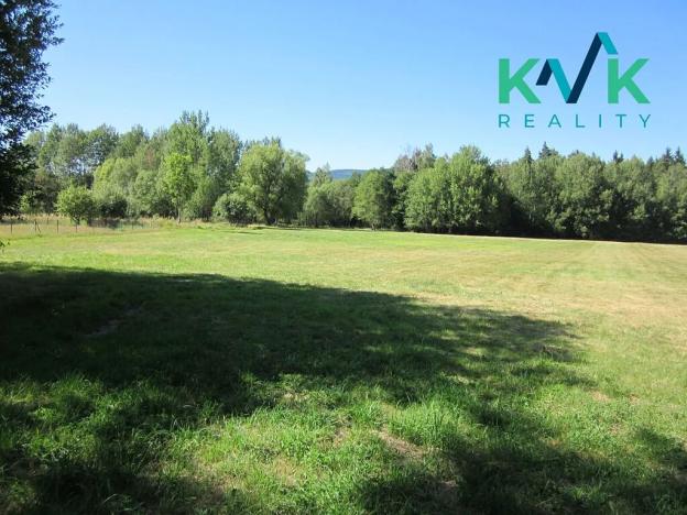 Prodej louky, Nejdek, 7718 m2