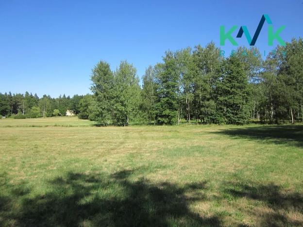 Prodej louky, Nejdek, 7718 m2