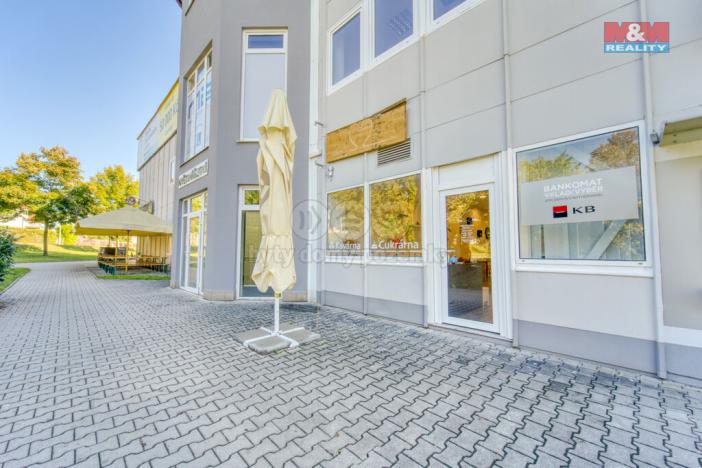 Pronájem obchodního prostoru, Třemošná, Plzeňská, 100 m2