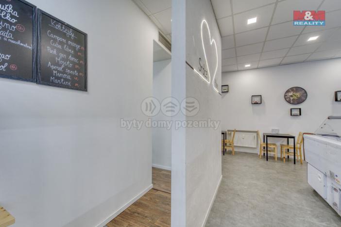 Pronájem obchodního prostoru, Třemošná, Plzeňská, 100 m2