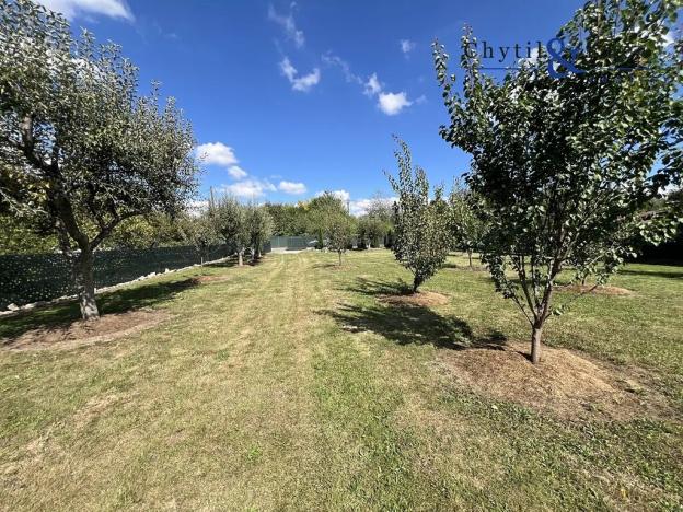 Prodej zahrady, Přerov, 2430 m2