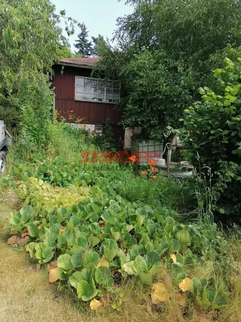 Prodej chaty, Dobřany, 54 m2