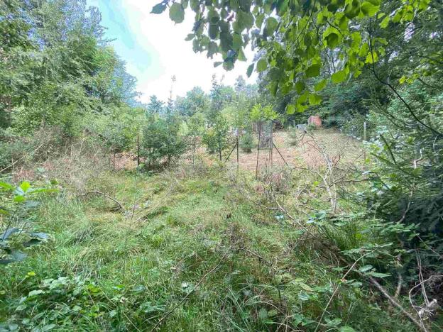 Prodej pozemku, Lišov - Levín, 1030 m2