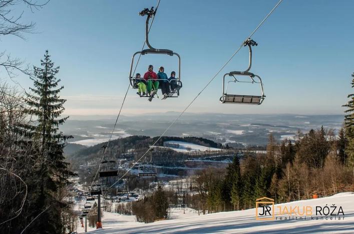 Prodej chaty, Černý Důl, 377 m2