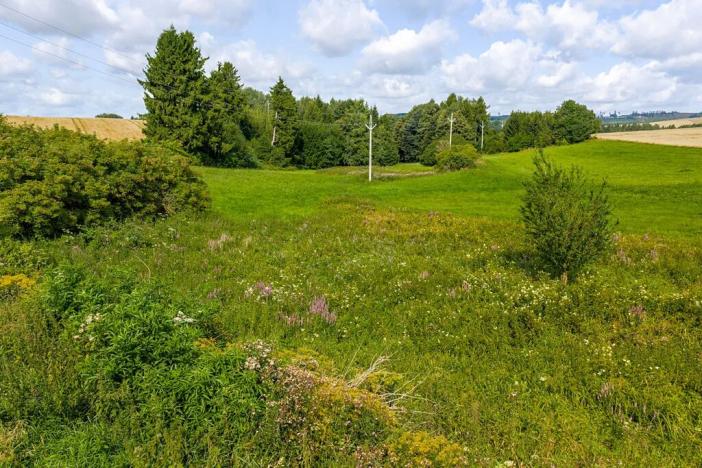 Prodej rybníku, Želetava, 5179 m2