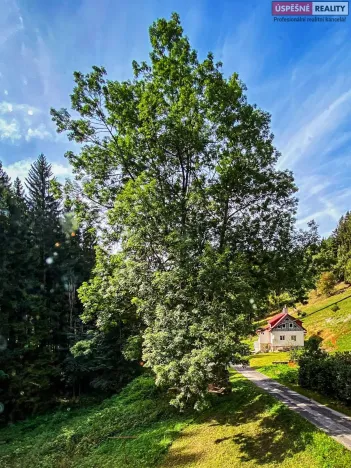 Prodej pozemku pro bydlení, Vítkovice, 3658 m2