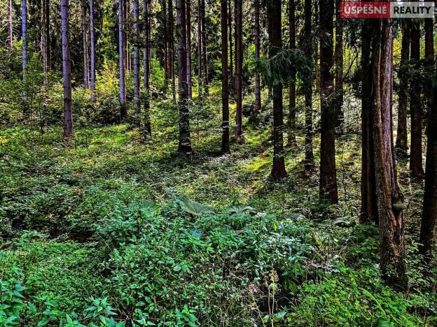 Prodej pozemku pro bydlení, Vítkovice, 3658 m2