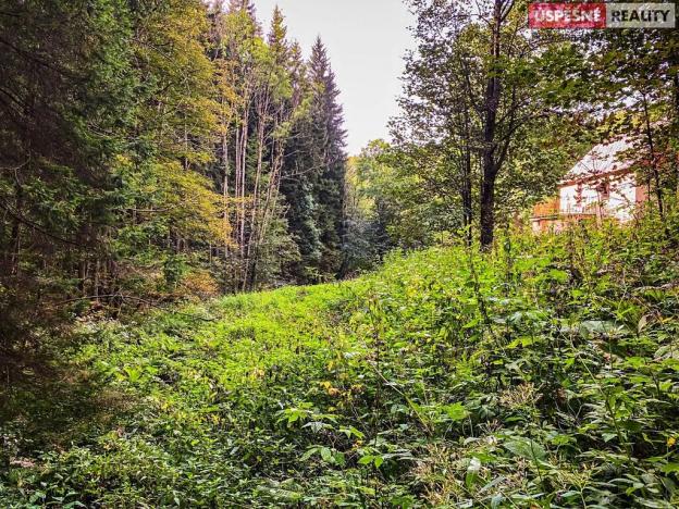 Prodej pozemku pro bydlení, Vítkovice, 3658 m2