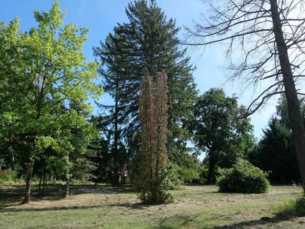 Prodej pozemku pro bydlení, Mukařov, Školní, 1500 m2