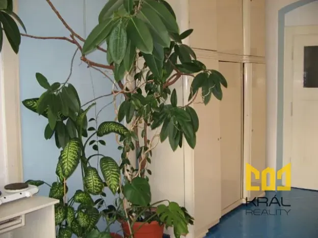 Pronájem pokoje, Praha - Karlín, Jirsíkova, 28 m2