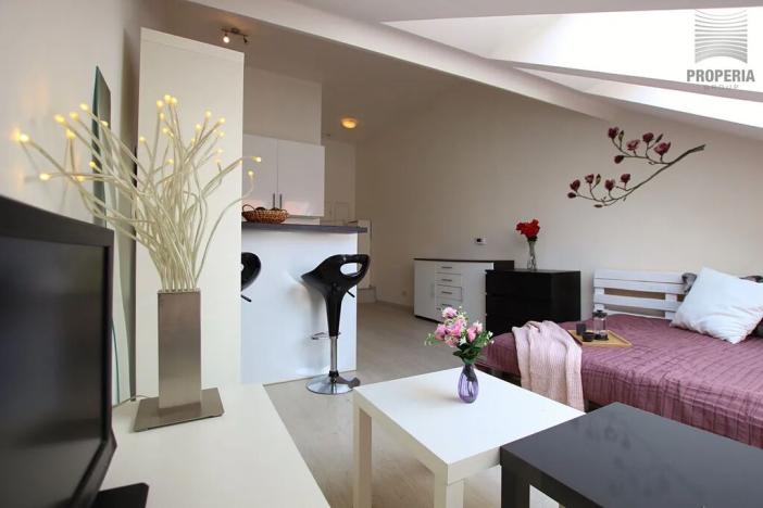 Prodej bytu 1+kk, Brno, Příční, 27 m2